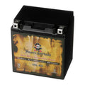 Premium Pirate Battery YTX30L-BS (30L-BS 12 Volt,30 Ah, 270 CCA) Snowmobile Battery for Brp (ski-doo) Expedition Se Year (15-17) - Great Deal!
