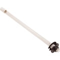 Paramount 005402383400 Clear O3 Water Purifying System Replacement Lamp 005-402-3834-00 - Great Deal!