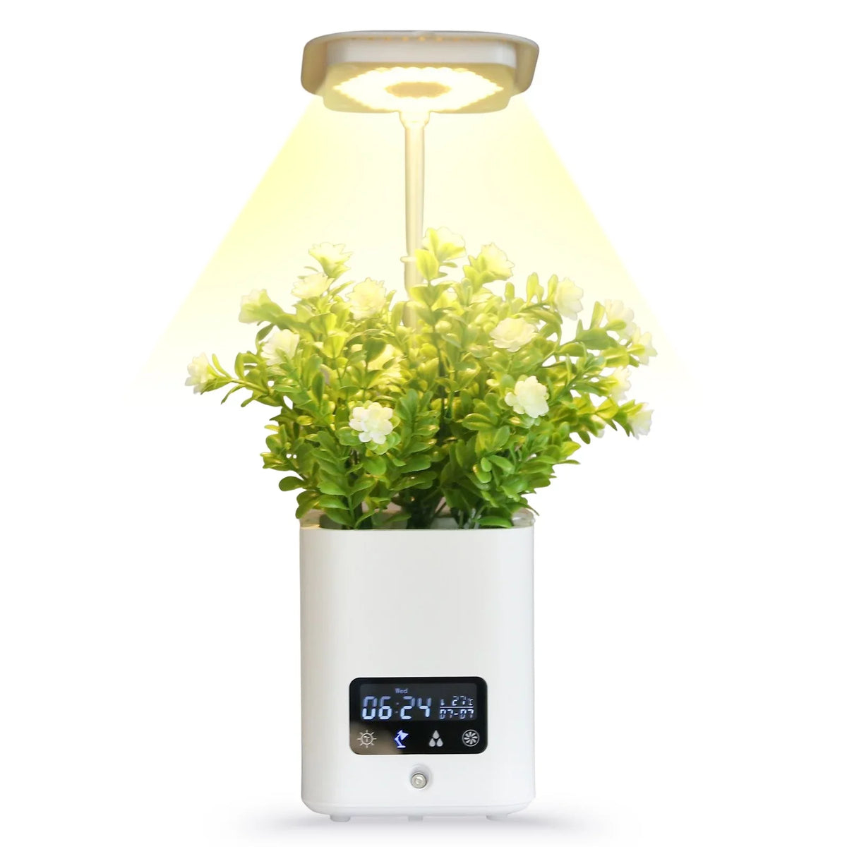 Premium Plants Series - Great Deal!