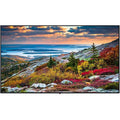 Panasonic TH-55CQE1W Digital Signage Display - Great Deal!