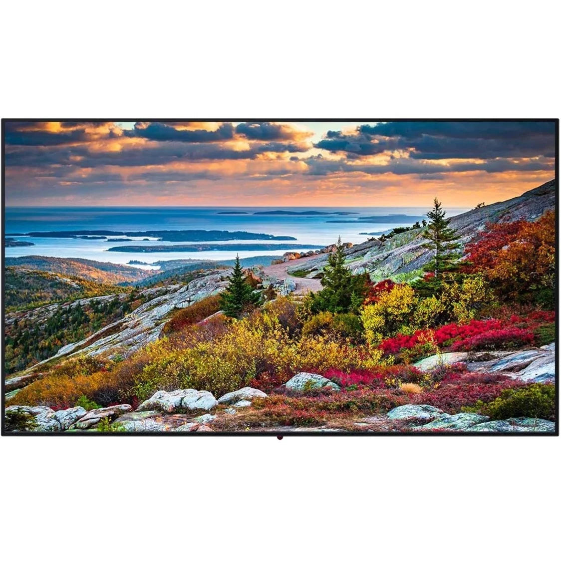 Panasonic TH-55CQE1W Digital Signage Display - Great Deal!