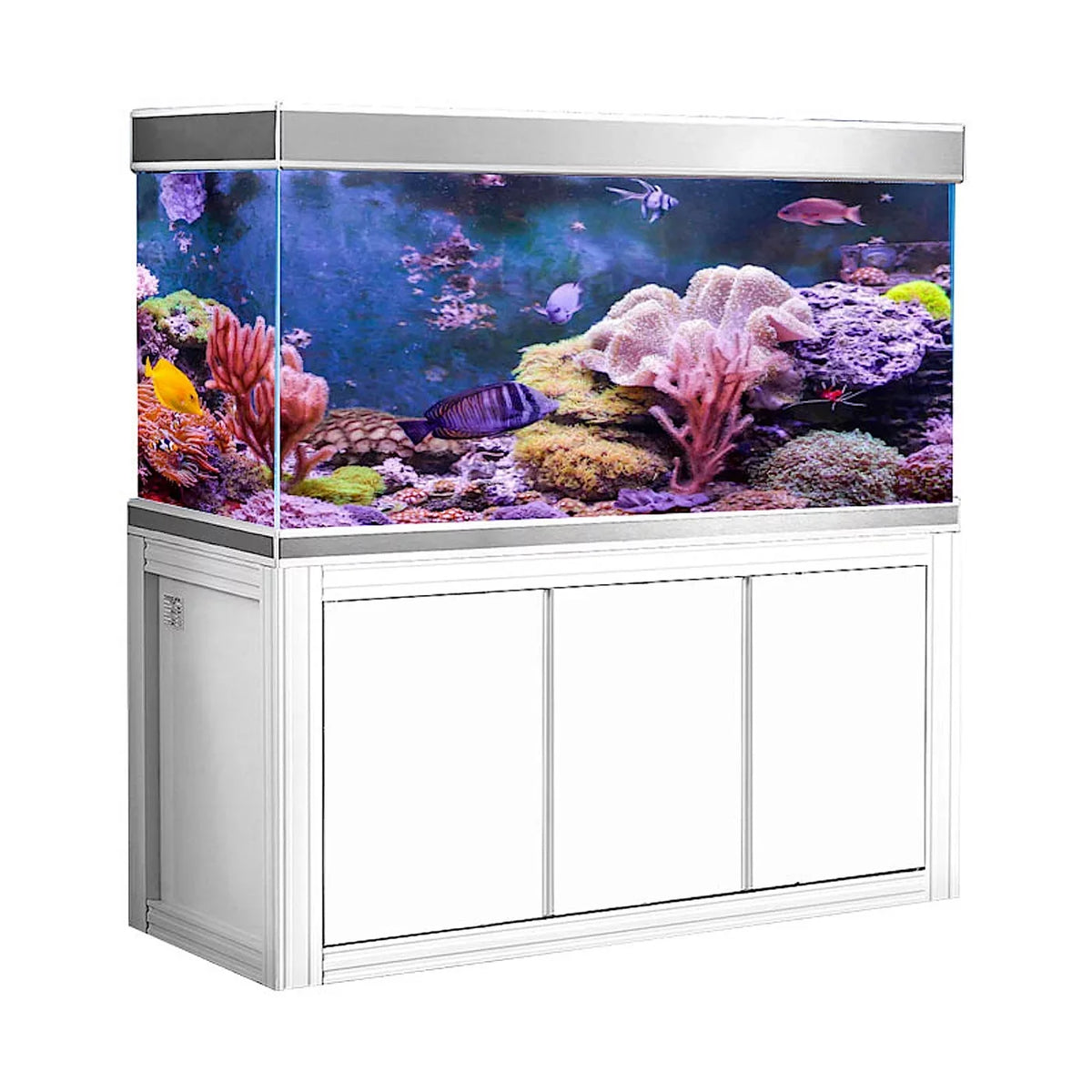 Premium Silver Series - Great Deal!