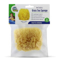 Baby Buddy Natural Grass Sea Sponge, Body Sponge Textured for Exfoliation, Works for Cradle Cap, Yellow, 4in, 1 Count - Great Deal!