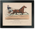 Framed Print: Nettie: By Rysdyk's Hambletonian, Dam, And American Star Mare, 1874 - Great Deal!